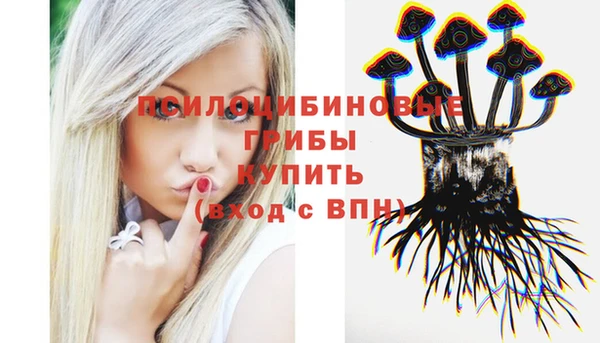 спайс Абдулино